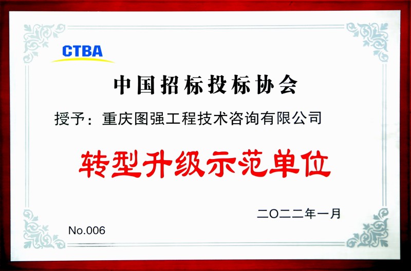 4 中國招標(biāo)投標(biāo)協(xié)會轉(zhuǎn)型升級示范單位.jpg