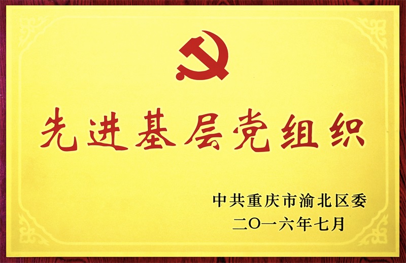 11-渝北區(qū)先進基層黨組織.jpg